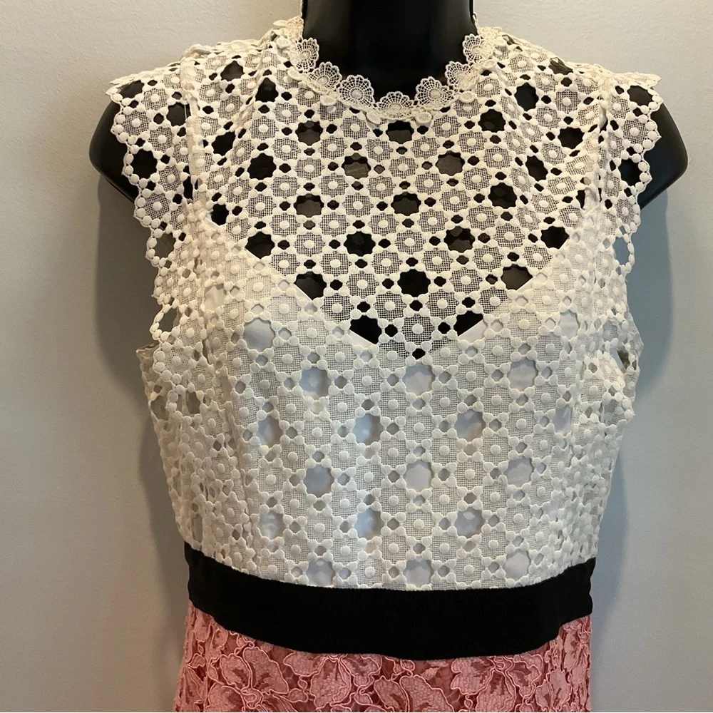 Sandro Paris Gab Lace Dress (US Size‎ 6) - Picture 3 of 12